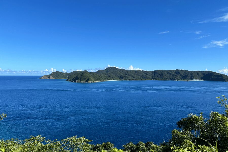 マネン崎展望広場から加計呂麻島を望む